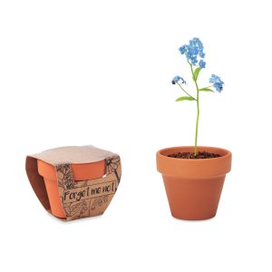 FORGET ME NOT Kleiner Terrakotta-Topf mit “Vergissmeinnicht“-Samen