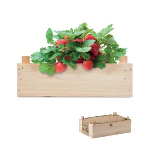 STRAWBERRY. Saat-Set für Erdbeeren